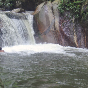 PASEO POR EL RÍO