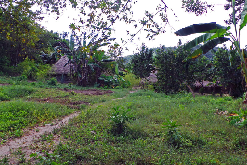 Kogui tour